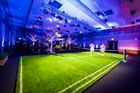 Artificial Turf